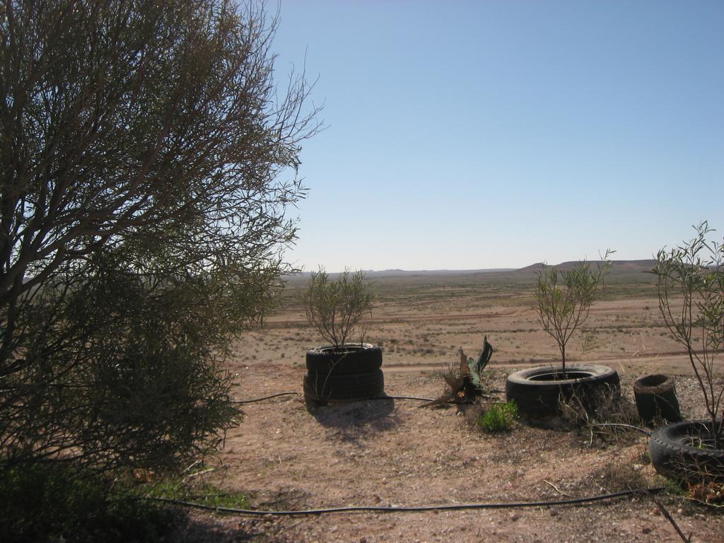 Venushill B+B Coober Pedy Esterno foto